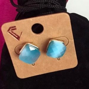 New Blue Stone Stud Earrings